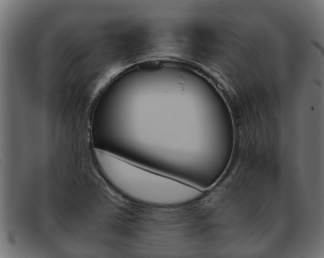 X0000093431363200710120909
