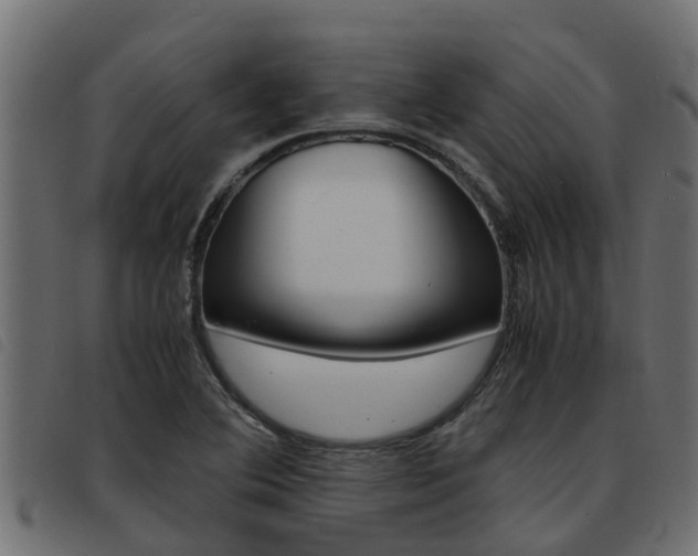 X0000093431364200710120909