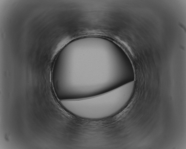X0000093431365200710120909