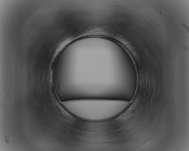 X0000093431366200710120909