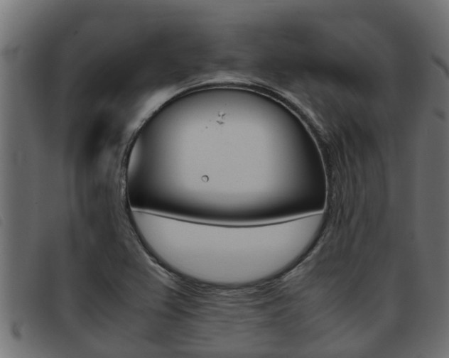 X0000093431367200710120909
