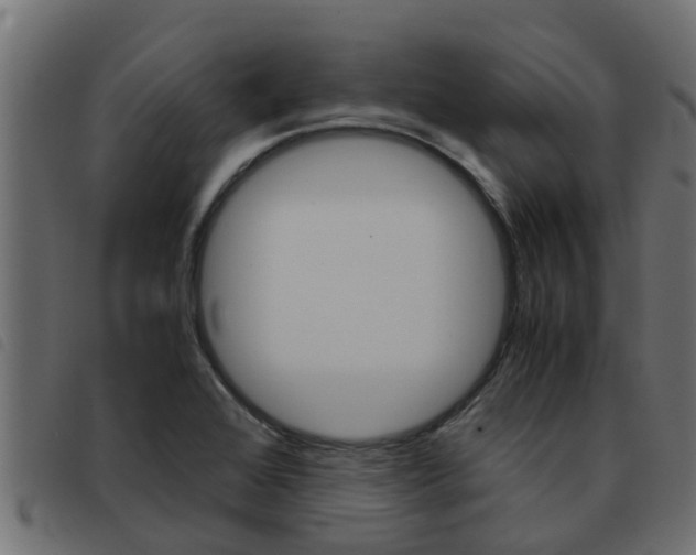 X0000093431368200710120909