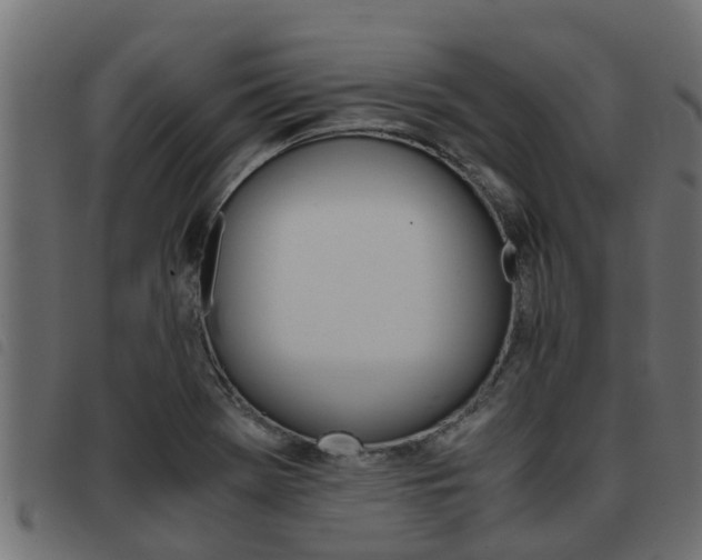 X0000093431369200710120909