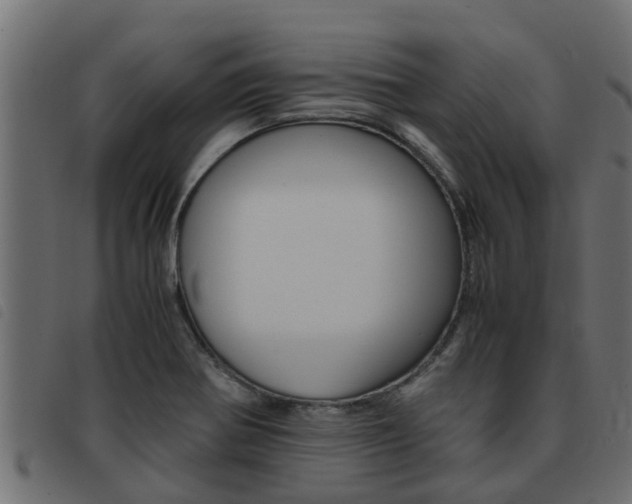 X0000093431370200710120909