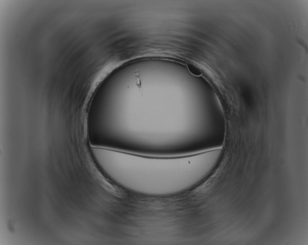 X0000093431371200710120909