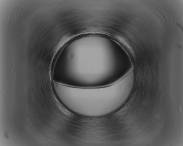 X0000093431372200710120909