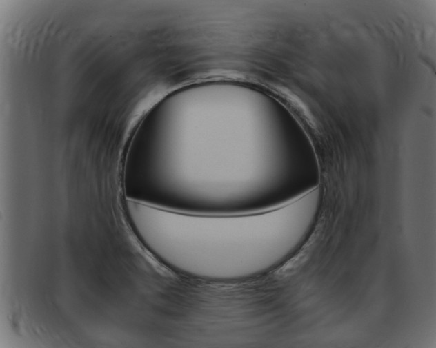 X0000093431373200710120909