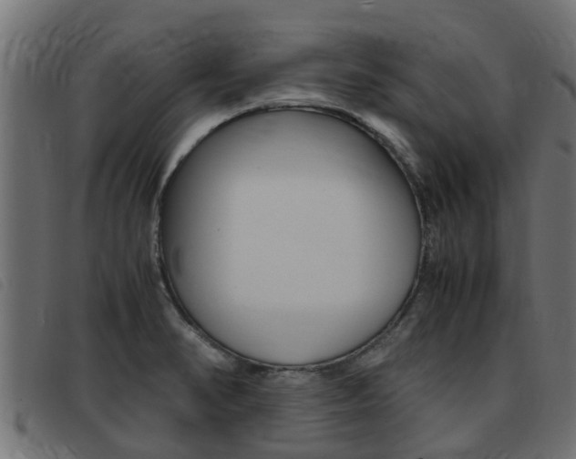 X0000093431374200710120909