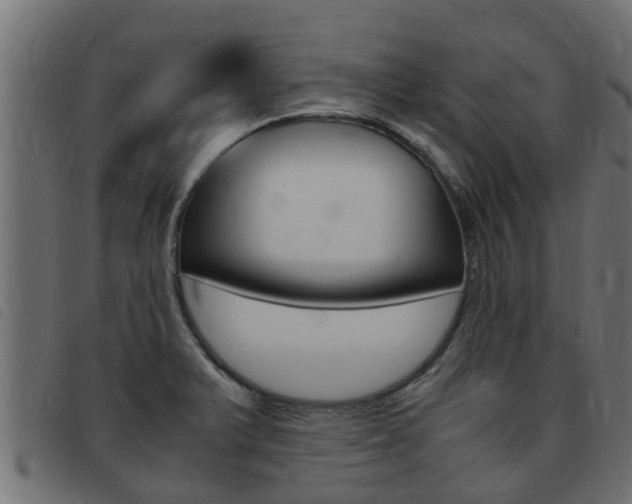 X0000093431375200710120908