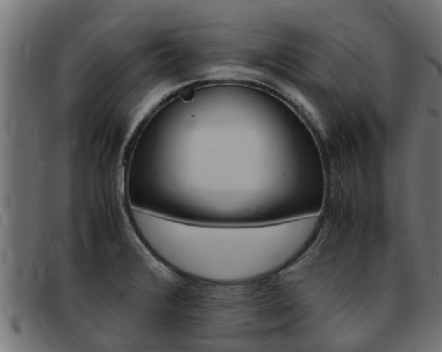 X0000093431376200710120908