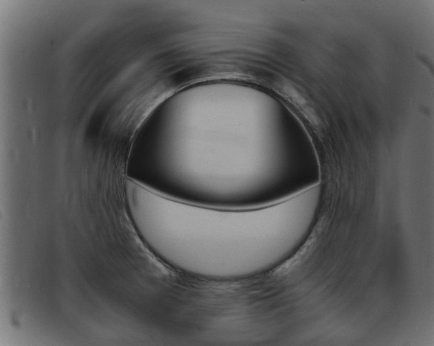 X0000093431377200710120908