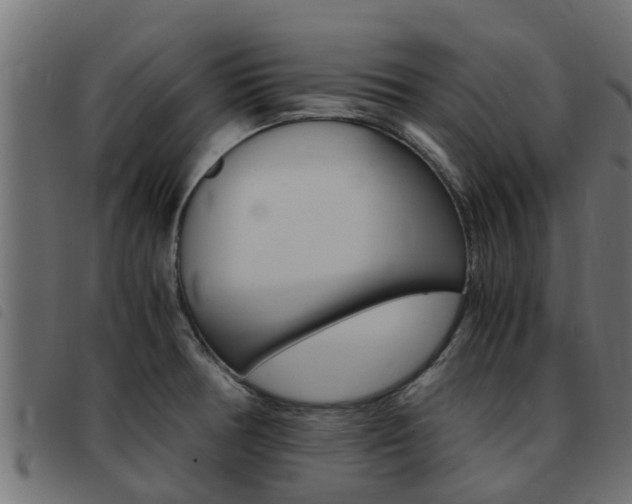 X0000093431378200710120908