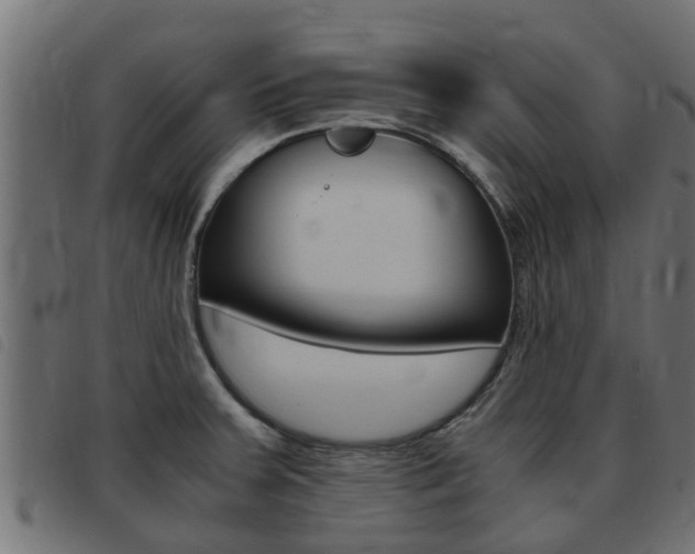 X0000093431379200710120908