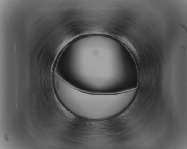 X0000093431380200710120908