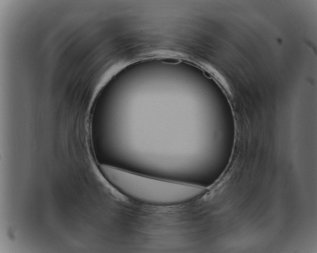 X0000093431381200710120908