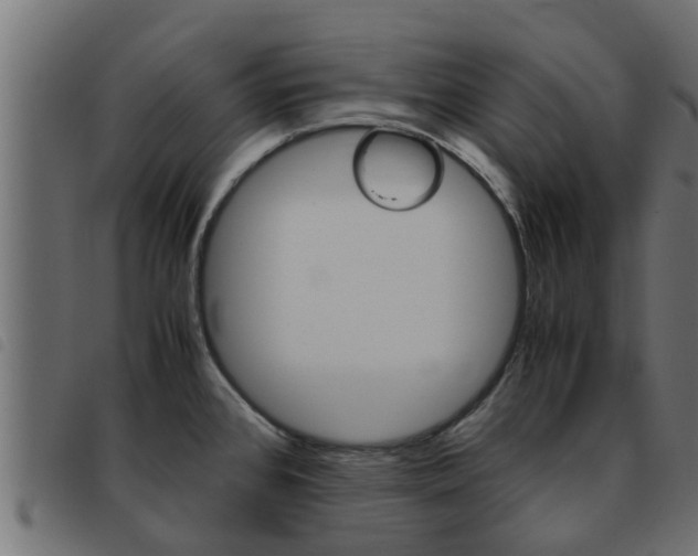 X0000093431384200710120908