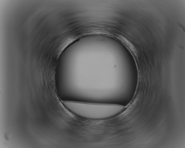 X0000093431385200710120908
