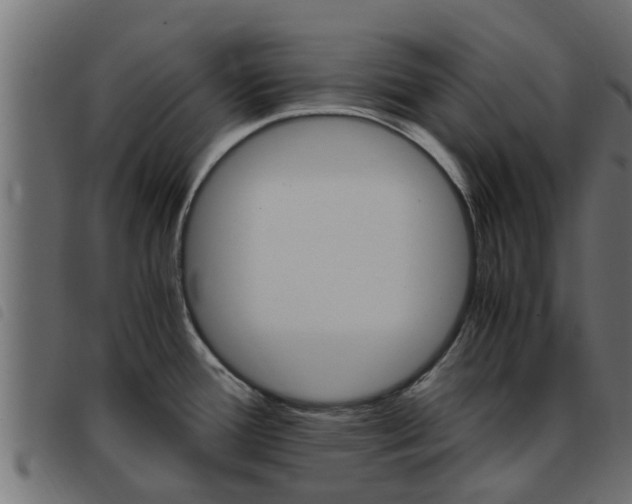 X0000093431388200710120908
