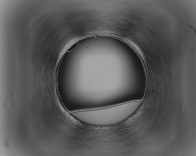 X0000093431389200710120908