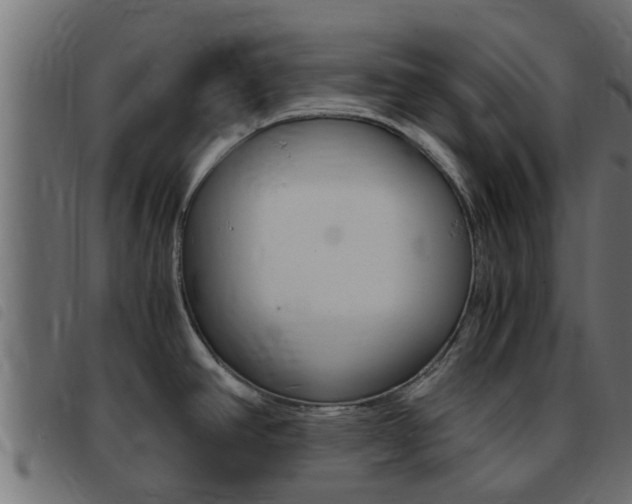X0000093431390200710120908