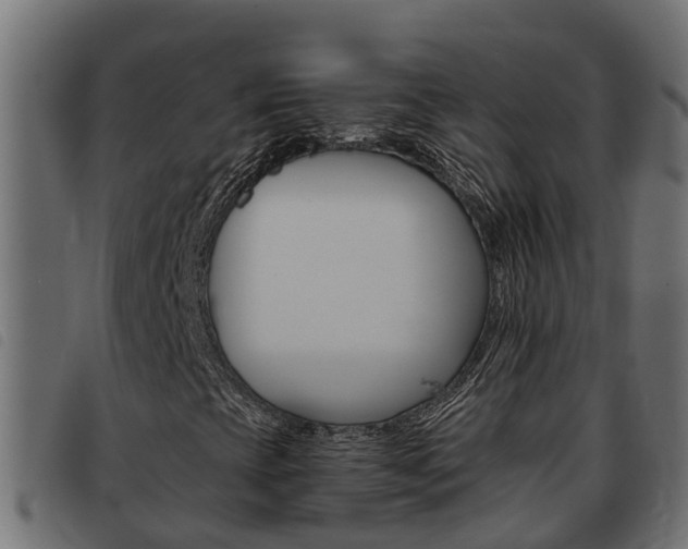X0000093431393200710120908