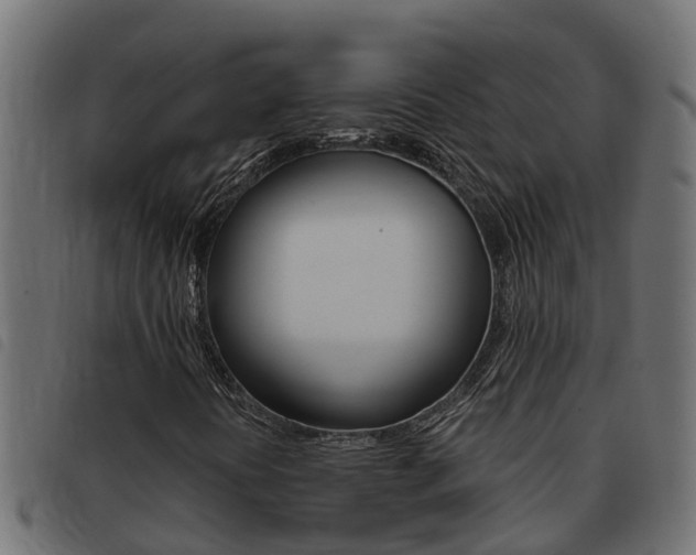 X0000093431394200710120908