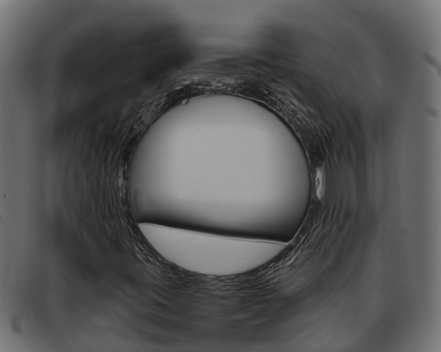 X0000093431395200710120908