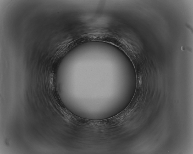 X0000093431396200710120908