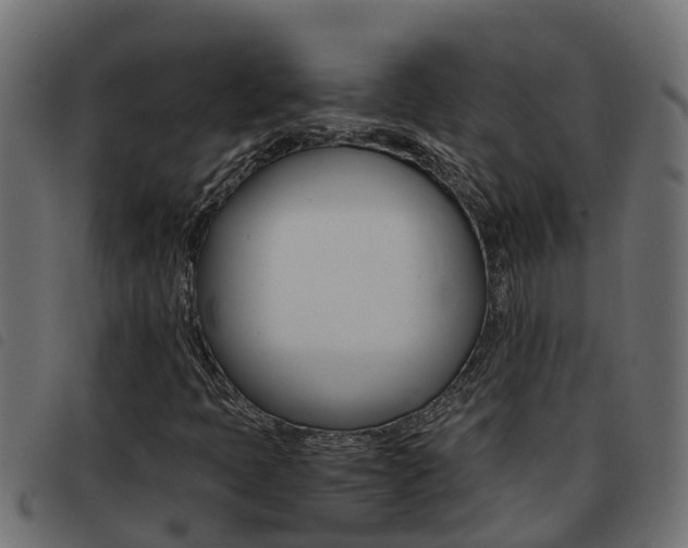X0000093431397200710120908