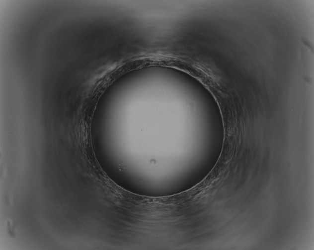 X0000093431398200710120908