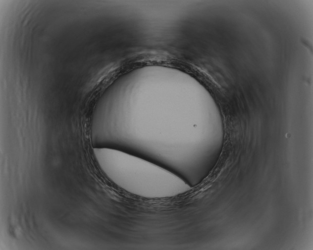 X0000093431399200710120908