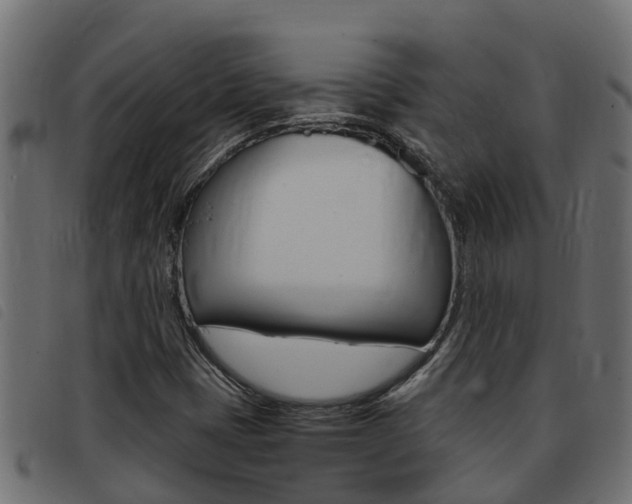 X0000093431401200710120908