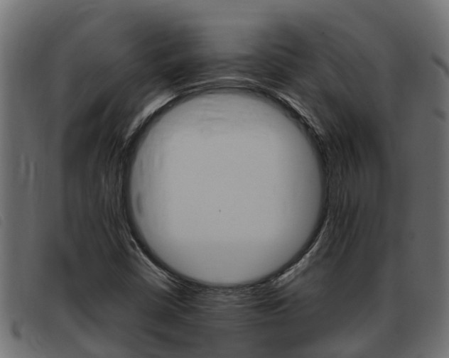 X0000093431402200710120908