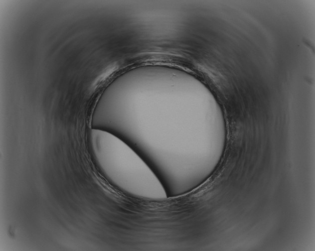X0000093431403200710120908