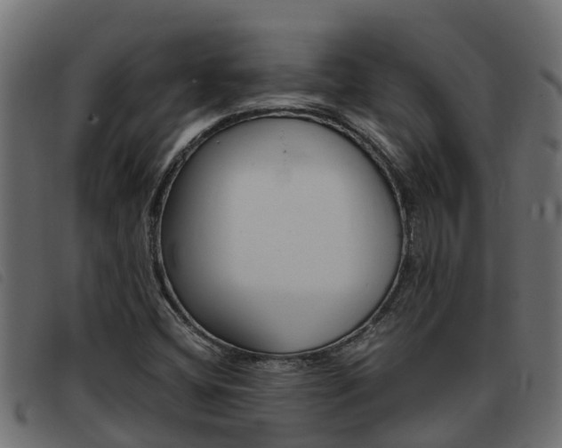 X0000093431404200710120908