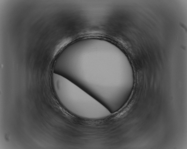 X0000093431405200710120908