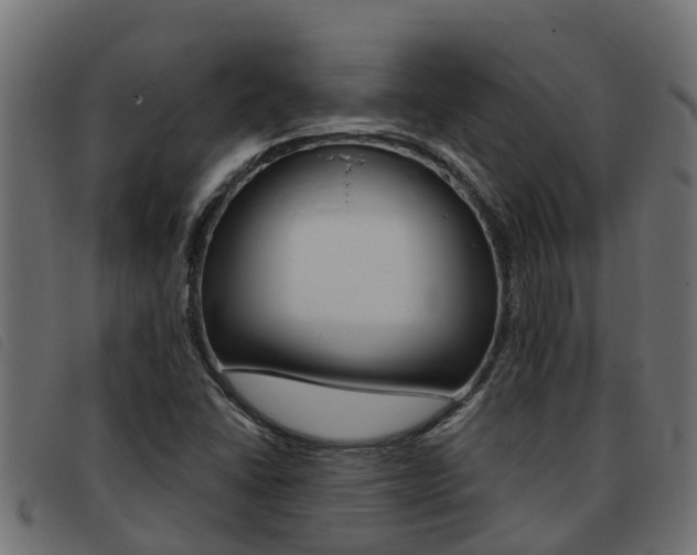 X0000093431406200710120908