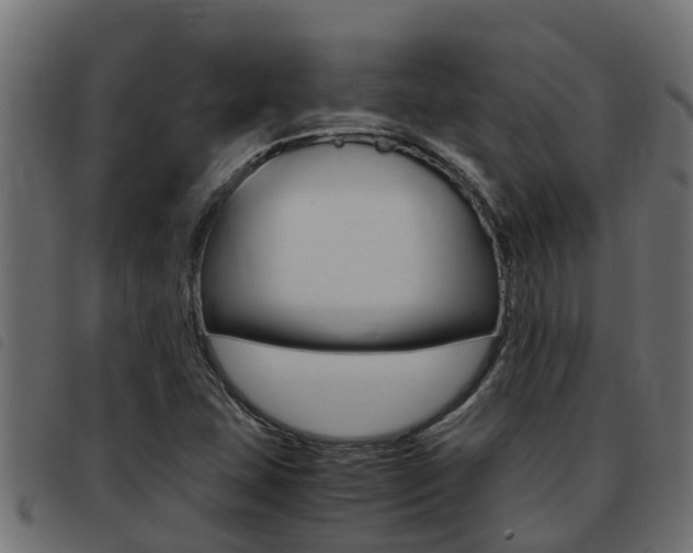 X0000093431407200710120908