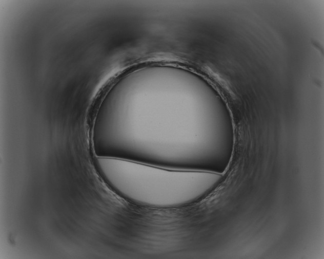 X0000093431408200710120908