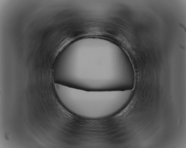 X0000093431409200710120908