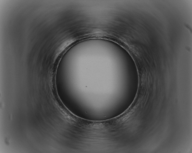 X0000093431410200710120908