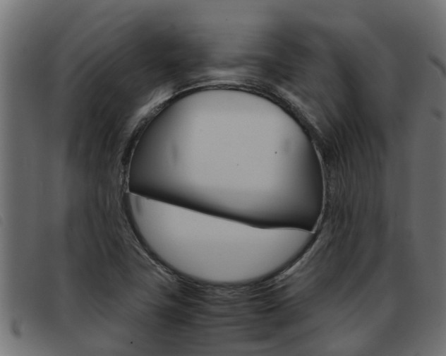 X0000093431411200710120908