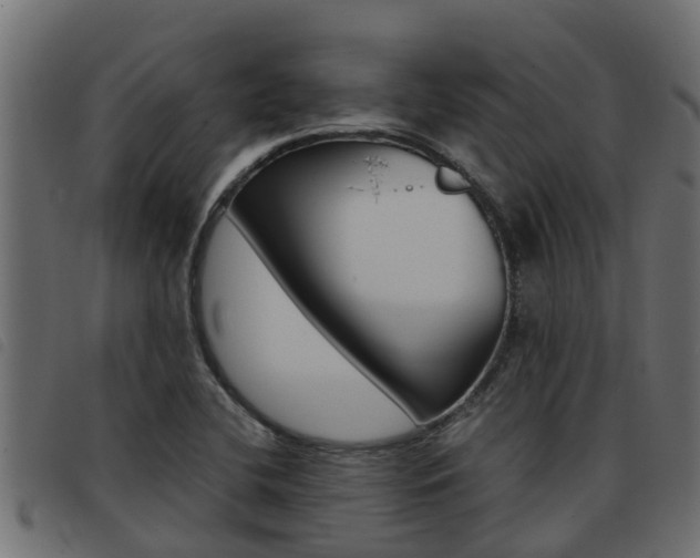 X0000093431412200710120908