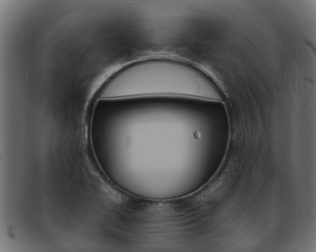 X0000093431414200710120908