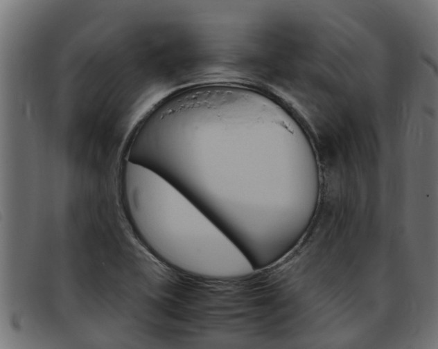 X0000093431415200710120908