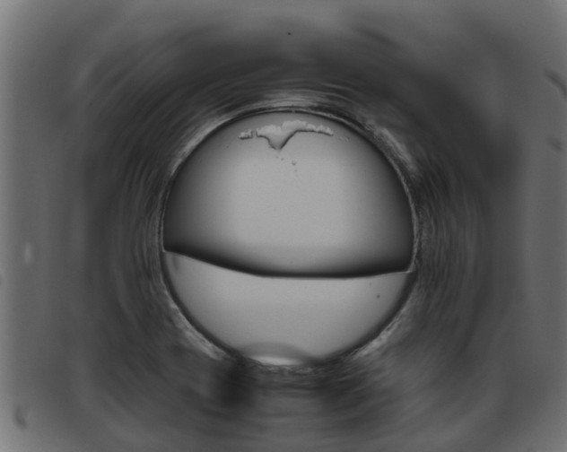X0000093431417200710120908
