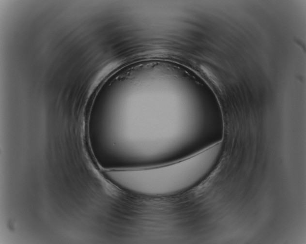X0000093431418200710120908