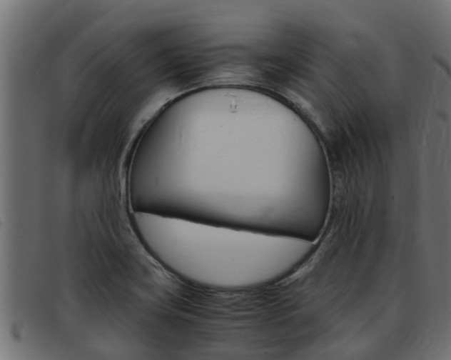 X0000093431419200710120908