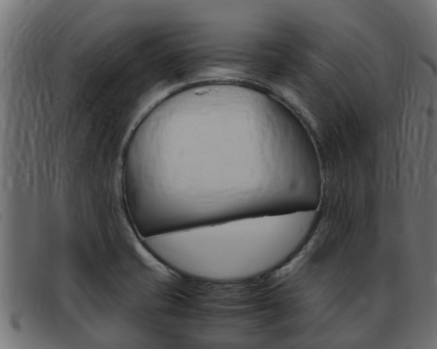 X0000093431421200710120908