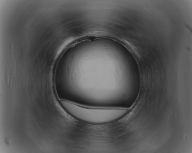 X0000093431422200710120908